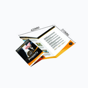 A3 Brochure